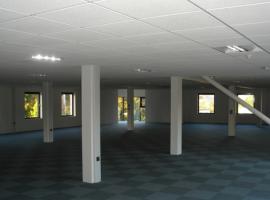 Suspended ceilings